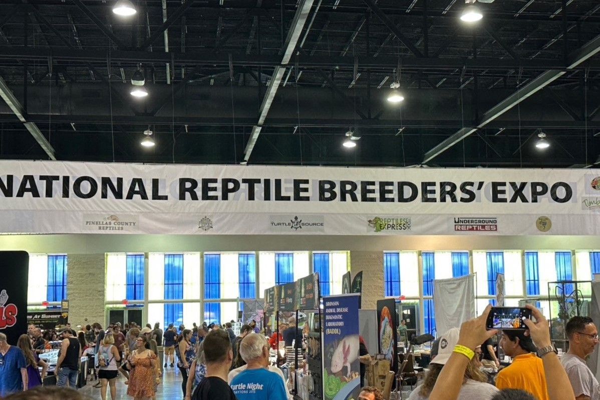 2023 National Reptiles Breeder's Expo, USA